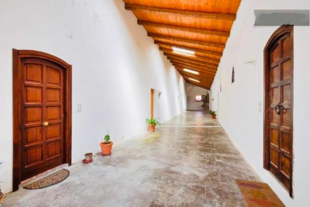 Wonderful Apartment In Old Альгеро Екстер'єр фото